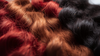 The Secret Behind True 100% Virgin Hair